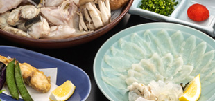 国産とらふぐ刺しを存分に味わうふぐ会席
